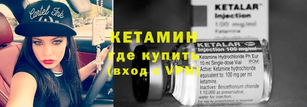 прущие грибы Богородск