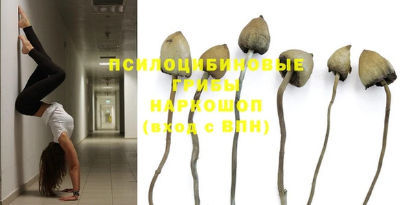 каннабис Богородицк