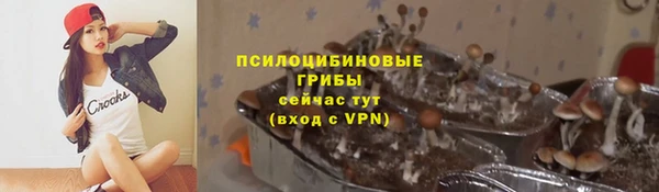 каннабис Богородицк