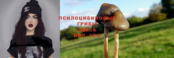 мдма Богданович