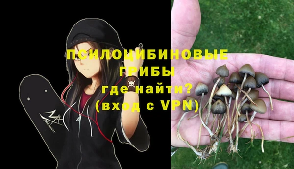 мдма Богданович
