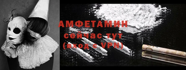 прущие грибы Богородск